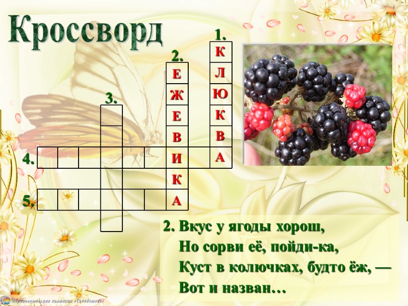 2. Вкус у ягоды хорош,     Но сорви её, пойди-ка, 